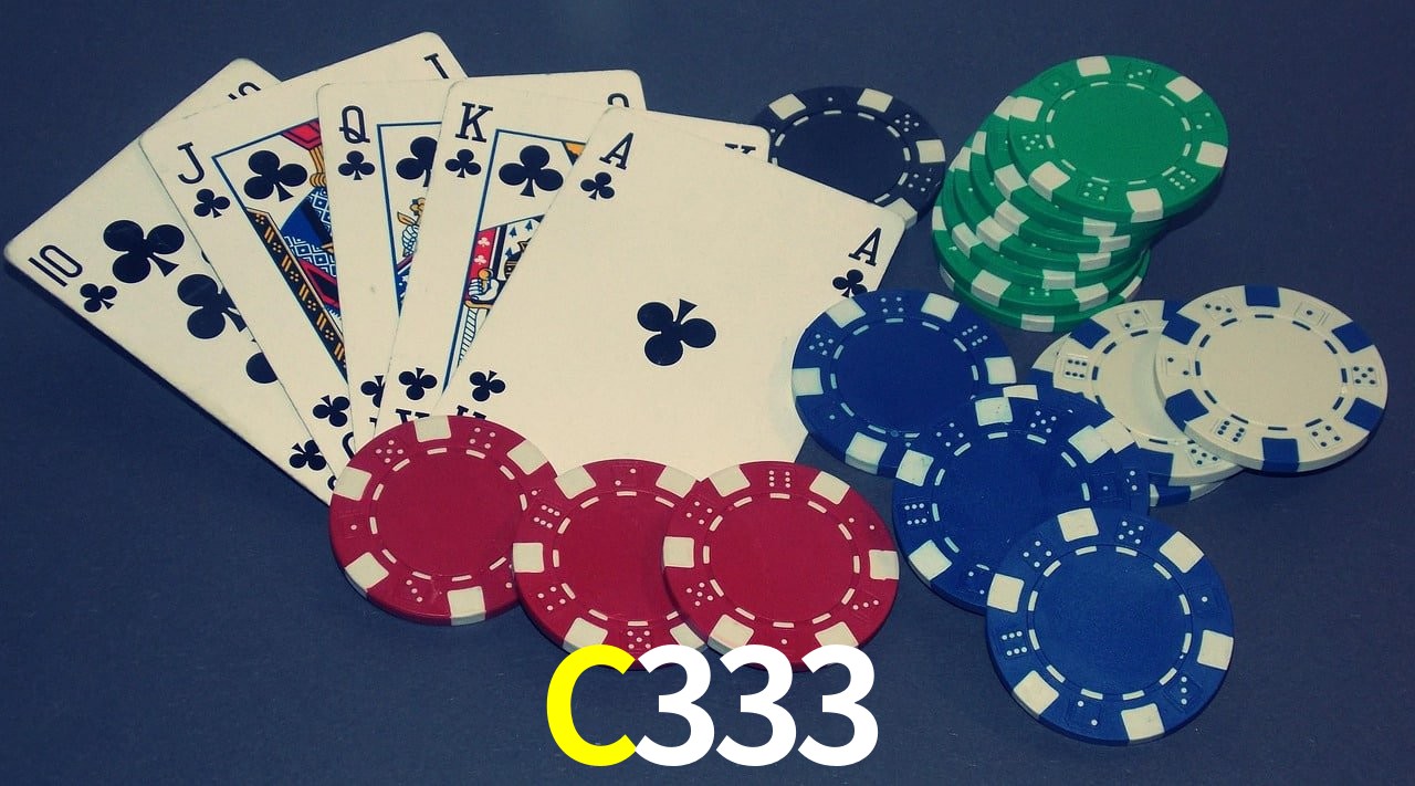 Security Systems C333
