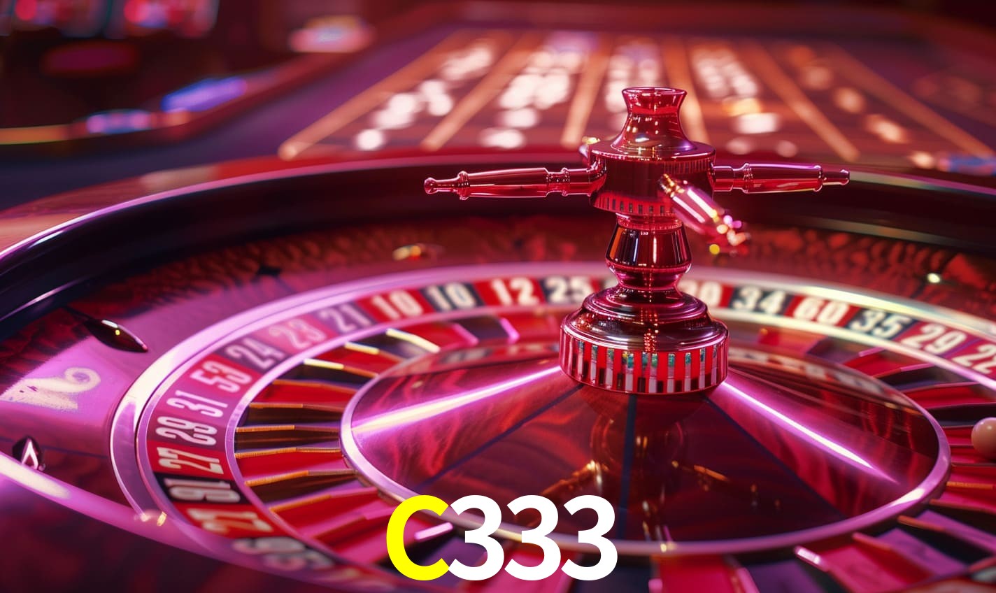 C333